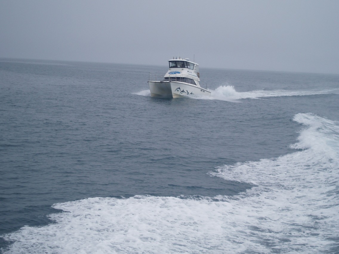 222   30 01   Kaikoura